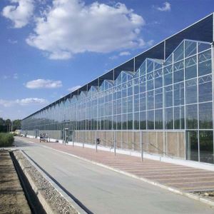 智能溫室大棚建設